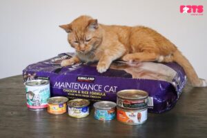 Different Types Of Cat Food Overview