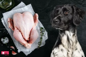 Is Raw Chicken Good For Dogs?