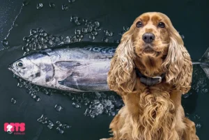 Is Tuna Good For Dogs?