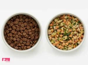 How Healthy Is Kibble?